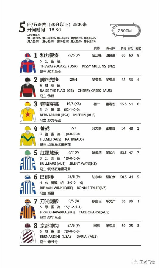 马闻早报丨东京奥运会马术官方宣传片发布,大陆马直播玉龙第11赛马日 (13).jpg