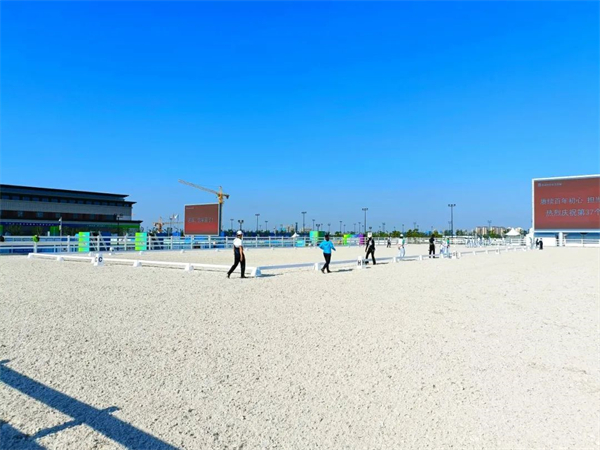 北京威斯恩国际马术设备有限公司:中国马术设备领军企业! 大陆马 (16).jpg