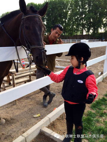 马儿也爱吃零食 中联骑士联盟马术俱乐部2.jpeg