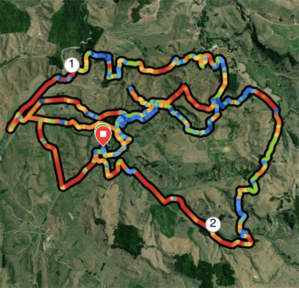 比赛的部分赛道图