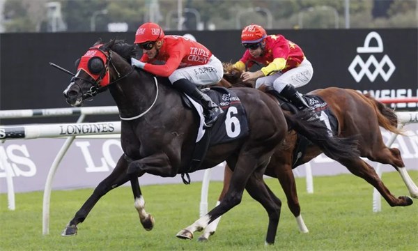 日本种公马“满乐时”子嗣横扫澳洲三岁马短途赛 大陆马.jpg