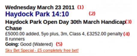 迪拜赛马观赛入门指南—Race Card大揭秘 大陆赛马网 2