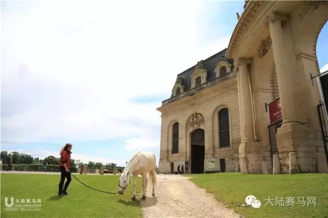 把戴安娜大奖赛带到你身边②:百年古堡是赛马场最美背景 12.jpg