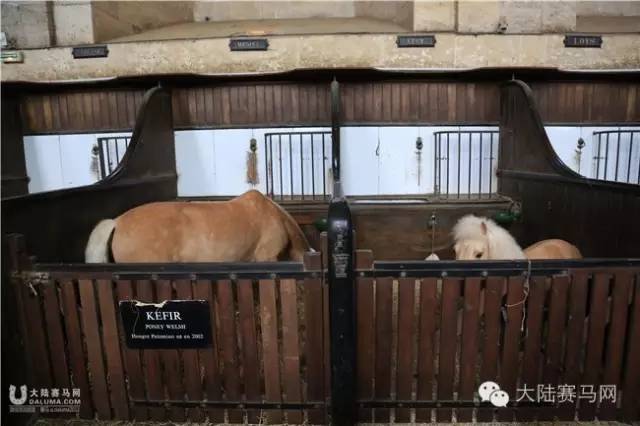 把戴安娜大奖赛带到你身边②:百年古堡是赛马场最美背景 8.jpg