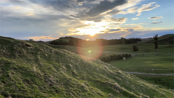 清晨的比赛场地