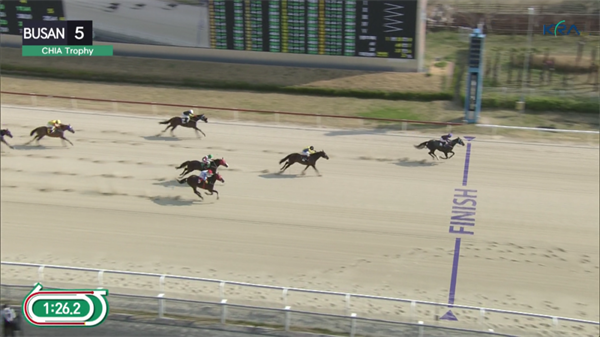 2022“中国马会杯”在韩国釜山赛马场举办 大陆马 (1).png