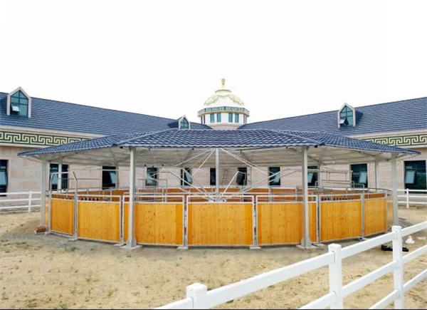 北京威斯恩国际马术设备有限公司:中国马术设备领军企业! 大陆马 (23).jpg