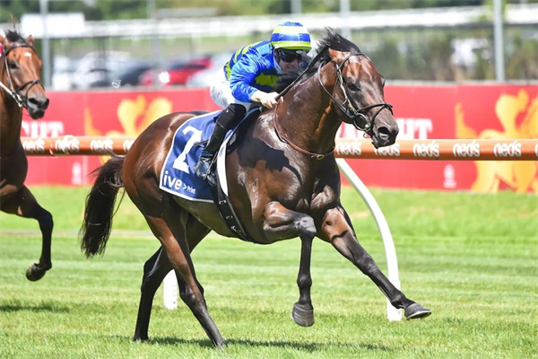 玉龙马业再度涌现明星赛驹:三级赛两连胜,一个月后冲击一级赛! 大陆马 (1).jpg