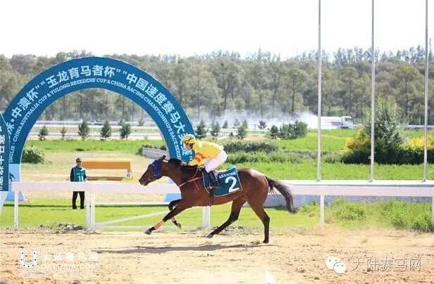 《马上聚焦》玉龙赛马日视频全记录+竞猜游戏中奖名单 6.jpg