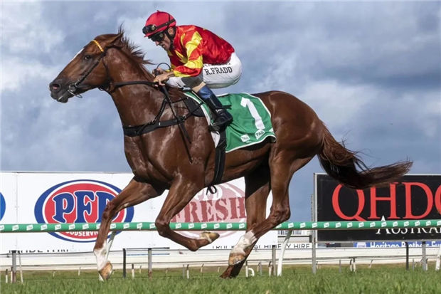 2岁公马“智者乐水”澳洲三级赛轻取冠军!为蒙骏和雅士新马主组合送上“贺礼”大陆赛马网 (2).jpg