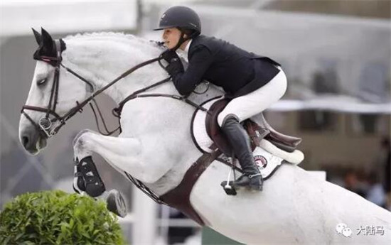 花三个亿为女儿养马,原来有钱人家这么养娃 大陆马 大陆赛马网 (15).jpg