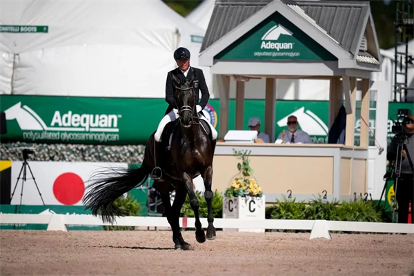 德国队在国际马联盛装舞步国家杯新赛季揭幕战中夺得冠军 大陆马.jpg