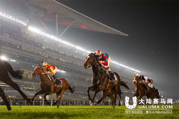 迪拜赛马世界杯 香港赛马收获两亚军虽败犹荣 大陆赛马网2.jpg