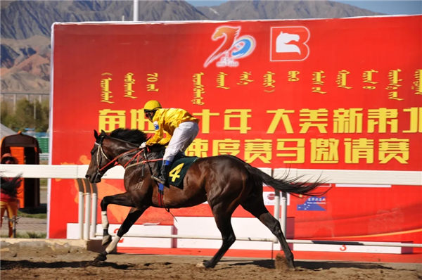 大疫过后必有大喜:中国西部河西走廊区域首次全国性纯血速度马赛事成功举办 大陆赛马网 (1).jpg