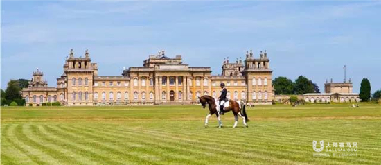 中国骑士华天:我想再战 10 届奥运会12.jpg