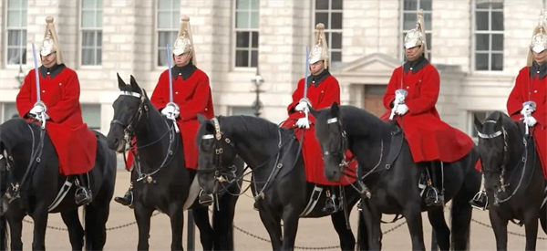 青马课堂:英女王的马儿也不听话?3招教你解决! 大陆马 (2).jpg