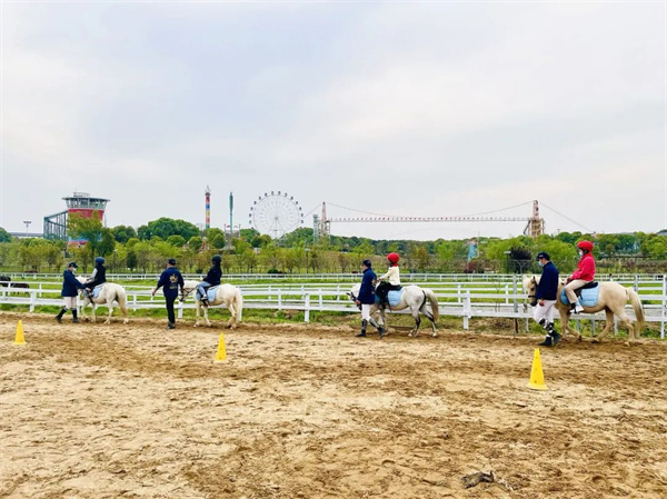 青马·校园马术社团 大陆马陪伴小小骑士一路成长! 大陆马 (1).jpg