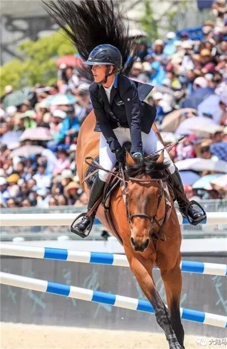 花三个亿为女儿养马,原来有钱人家这么养娃 大陆马 大陆赛马网 (25).jpg