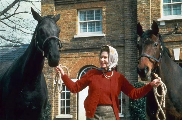96岁英国女王,爱牠爱了92年! 大陆马 (3).jpg