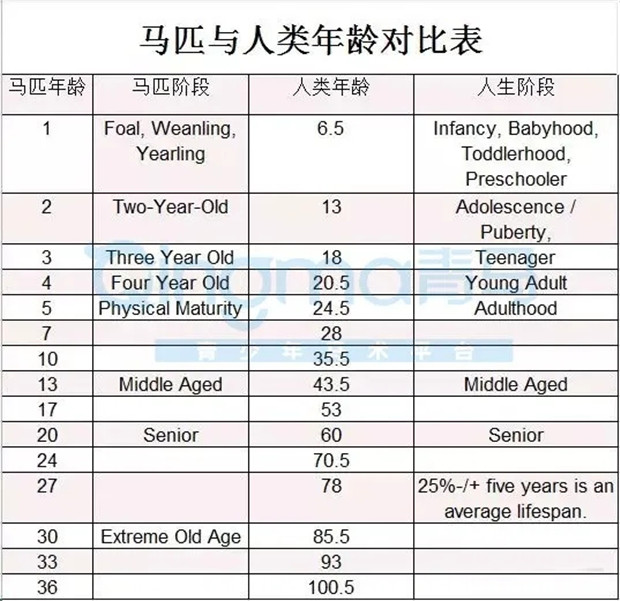 你的小目标实现了么?一匹马率先赚到一个亿! 大陆赛马网 (3).jpg