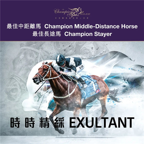 “时时精彩”荣膺20192020年度香港马王、最佳中距离马、最佳长途马 大陆赛马网 (2).jpg