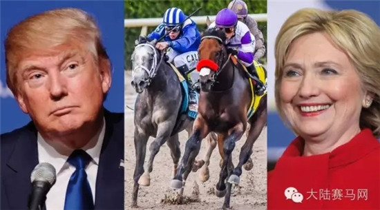 一周全球赛马新闻精选NO.2:中国俱乐部海外狂揽5冠,美总统选举频提赛马 大陆赛马网.jpg