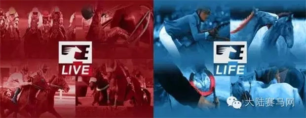 法国赛马为何这么刚?总理宣布体育赛事9月前取消,但赛马坚持5月恢复 大陆赛马网 (8).jpg