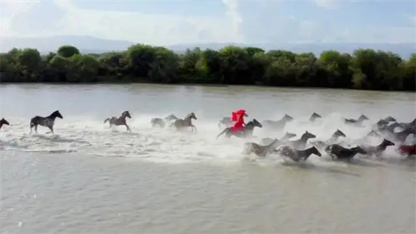 8秒火爆全网的策马副局长贺娇龙:带货扶贫1.4亿,落马肋骨骨折 大陆马 (2).jpg