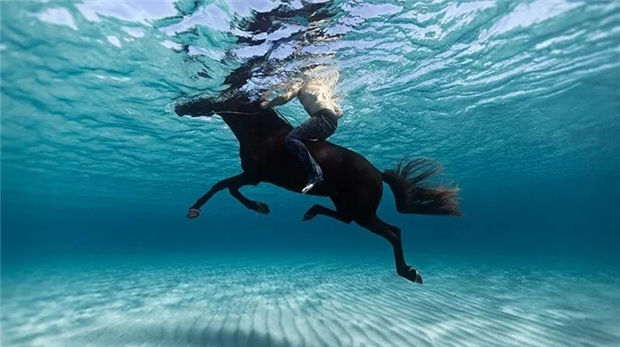 突然想知道马在水里的泳姿,于是我潜到水底拍了一段…… 青马网大陆马 (3).jpg