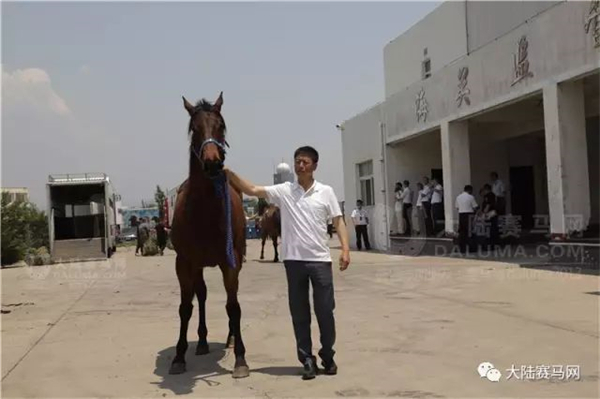 疫情后中国首架运马包机!玉龙马业75匹进口纯血马从爱尔兰顺利抵沪! (7).jpg