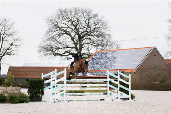 全球顶级马术赛马拍卖会即将开幕!冠军骑手为你选马! 大陆马 (1).png