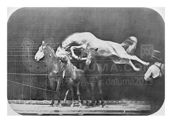 跳过三匹马-迈布里奇·爱德沃德-大陆赛马网.jpg