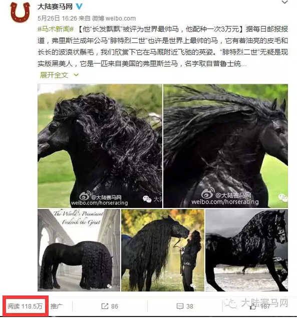 中国马术俱乐部微信影响力排行榜TOP10 7.11第31周3.jpg