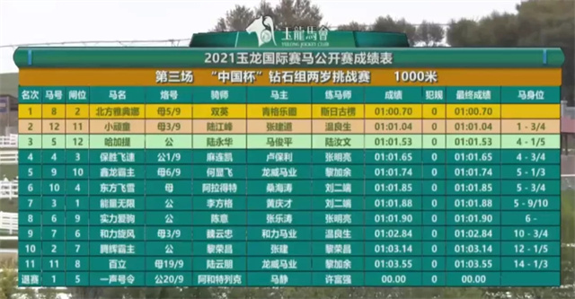 玉龙马业,国产马赛事,玉龙公开赛,赛马,马术,玉龙赛马 (5).jpg