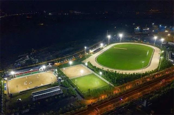 青少年骑手上大学新选择:武汉商学院面向马术运动员的本科专业获教育部批复! 大陆马 (1).jpg