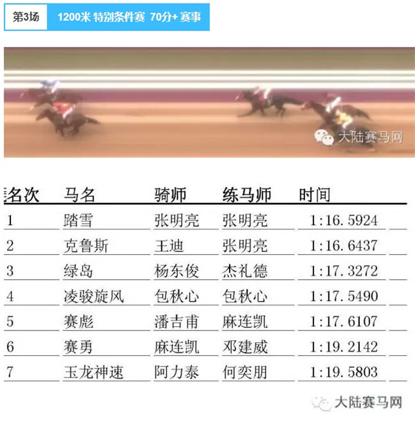 武汉劳动节赛马嘉年华成功举办:CHC成大赢家,张明亮刘三平各2冠 大陆赛马网03.jpg