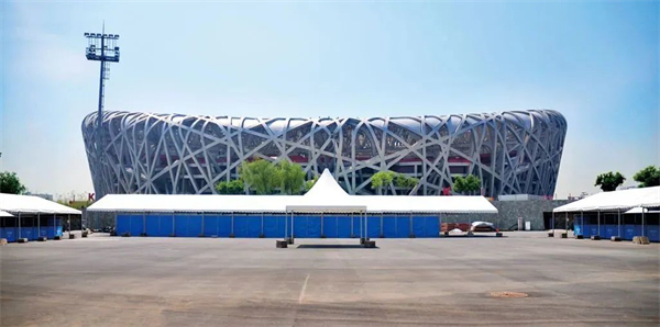 北京威斯恩国际马术设备有限公司:中国马术设备领军企业! 大陆马 (6).jpg