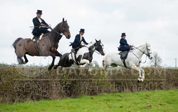 侧鞍骑马行天下!伊丽莎白女王和安吉丽娜·朱莉的珍贵侧骑照 大陆赛马网10.jpg