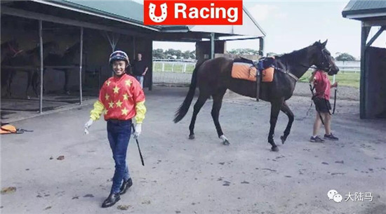 中国骑师谭勇-大陆赛马网