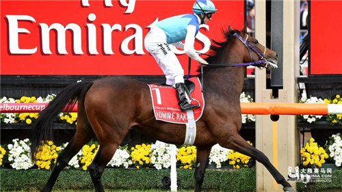 不可不知的墨尔本杯赛马节趣事 大陆赛马网2.jpg