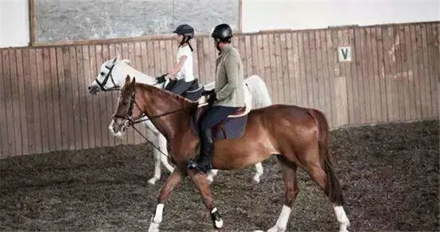 章子怡带着4岁女儿去上马术课啦!为啥明星们都送孩子去骑马? 青马网大陆马 (11).jpg