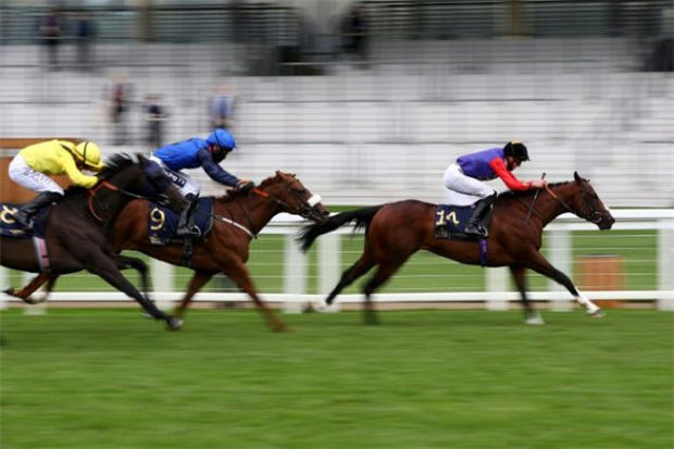 英女王68年来首次缺席皇家赛马会,却时隔四年迎来雅士谷冠军 大陆赛马网 (1).jpg