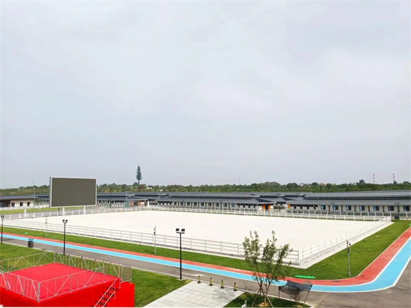 北京威斯恩国际马术设备有限公司:中国马术设备领军企业! 大陆马 (28).jpg