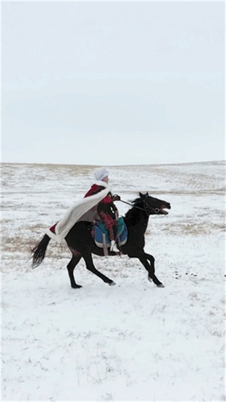 8秒火爆全网的策马副局长贺娇龙:带货扶贫1.4亿,落马肋骨骨折 大陆马 (1)_副本.jpg