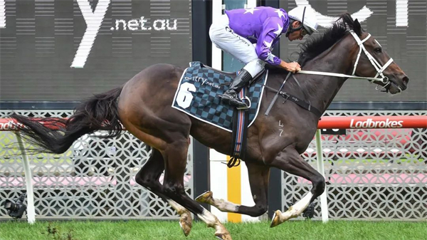 陈洪伟、牛福东联合拥有的赛马“卢梭”澳洲勇夺13万澳币奖金赛事 大陆马.jpg