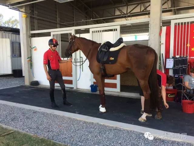 奥运参赛马匹坐商务舱抵达巴西:华天和“堂·热内卢”里约最新动态 2.jpg