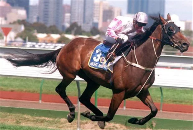 1998年和1999年澳洲马王“神威”辞世享年26岁 大陆赛马网.jpg