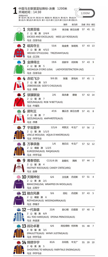 华宇马业明星赛马“万事俱备”:80万奖金中国马主联盟蓝钻锦标冠军 大陆赛马网 (6).jpg