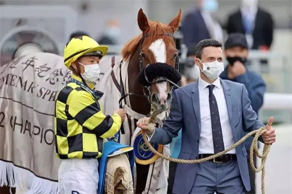 放开配种数量:美国肯塔基取消种马一年配种140匹母马的上限规定丨全球赛马一周精彩呈现 大陆马 (3).jpg