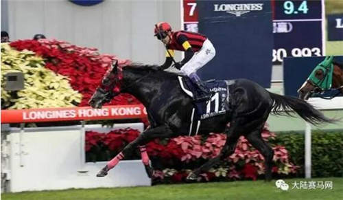 赛马让世界聚焦香港:全球精英赛驹角逐4场8300万奖金一级赛5.jpg